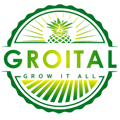 Groital logo