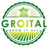 Groital logo