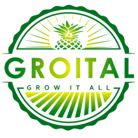 Groital logo