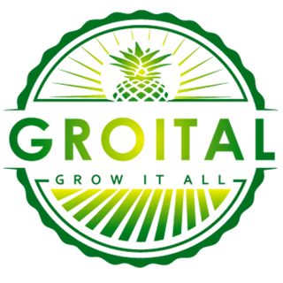 Groital logo